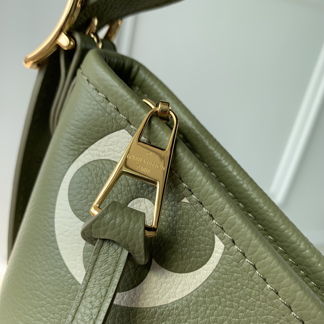 LV M46672 CarryAll PM M46672