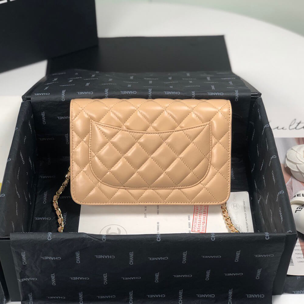 Ch*el wallet on chain